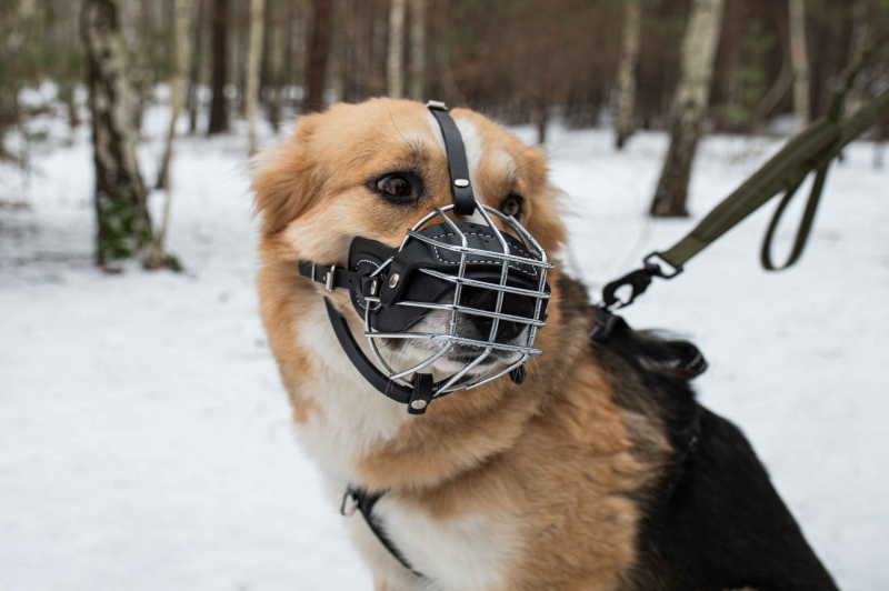 MUZZLE-METAL-M
