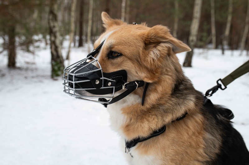 MUZZLE-METAL-M