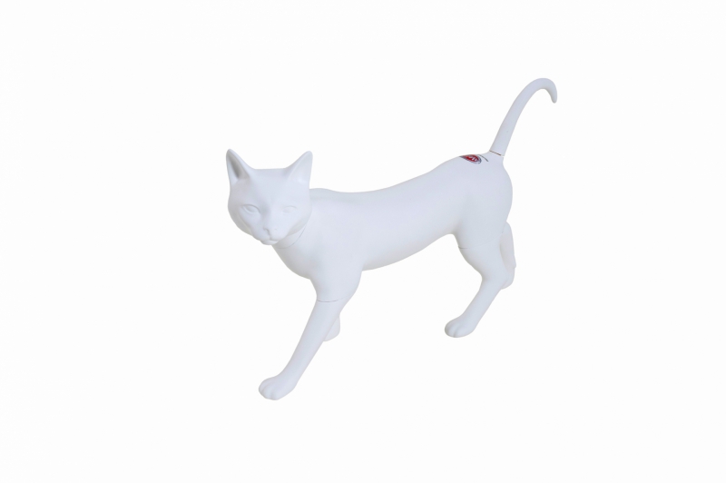 MODEL-CAT